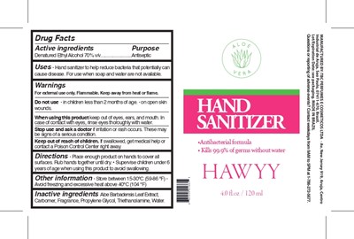 Labelling   Hawyy Hand Sanitizer 120 mL Rev02